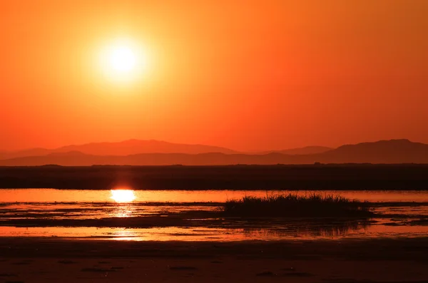 Pôr do sol sobre pântano — Fotografia de Stock
