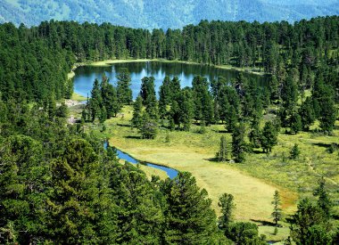 Wild landscape, forest lake Karacol clipart