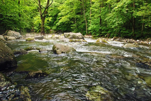 Rzeka Las — Zdjęcie stockowe