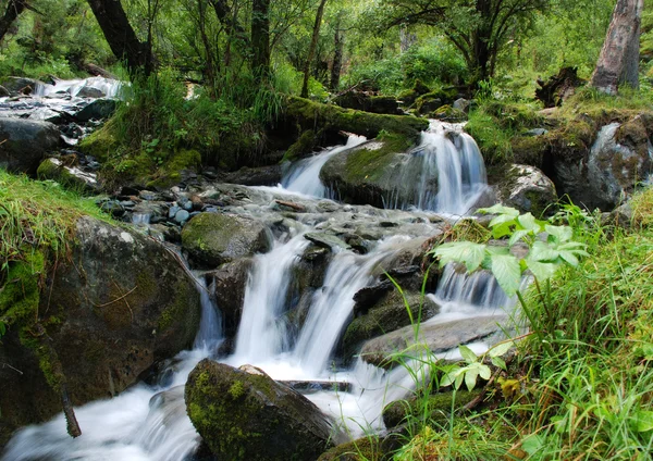 Waterfall, mountain river — Stock Photo, Image