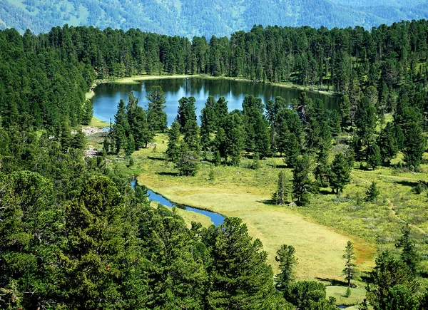 Vilda landskap, forest lake karacol — Stockfoto