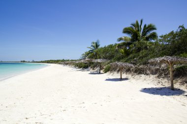 Beach of Cayo Santa Maria. Cuba clipart