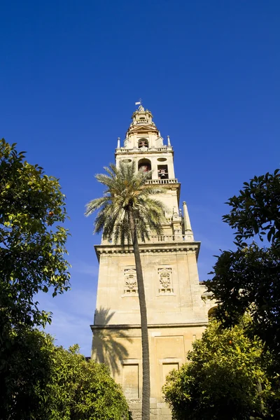 市中心的清真寺的科尔多瓦-西班牙钟楼 — 图库照片