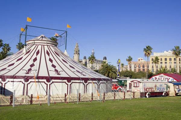 stock image Carp of circus.