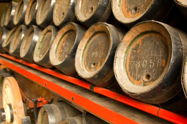 Row of wooden beer barrels — Stock Photo, Image