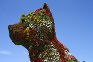 Köpek yavrusu heykel. Bilbao