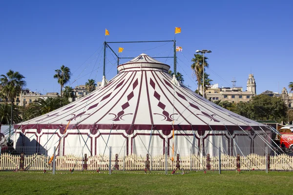 Carp of circus. — Stock Photo, Image