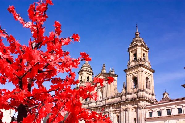 Bogota, Kolumbia-székesegyház — Stock Fotó