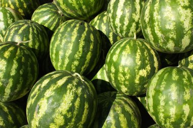 Watermelons clipart