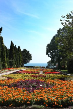 Botanik Bahçe çiçek ve deniz