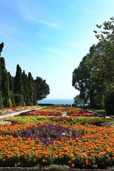 Botanische tuin met bloemen en zee — Stockfoto