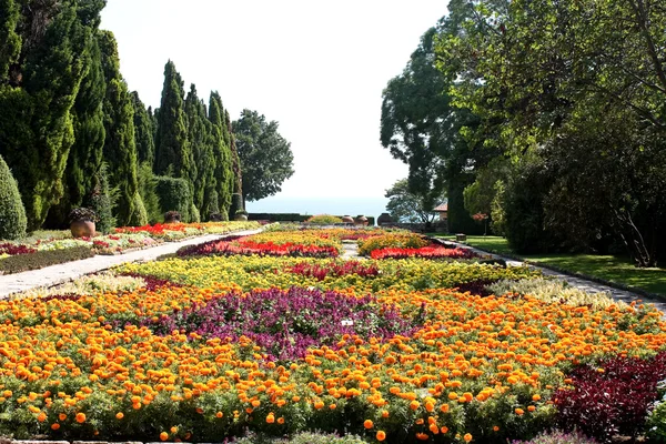 Jardim botânico com flores e mar — Fotografia de Stock