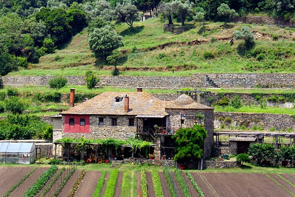 Casa di campagna tradizionale e la coltivazione di lattuga in fila nell'orto in Grecia — Foto Stock