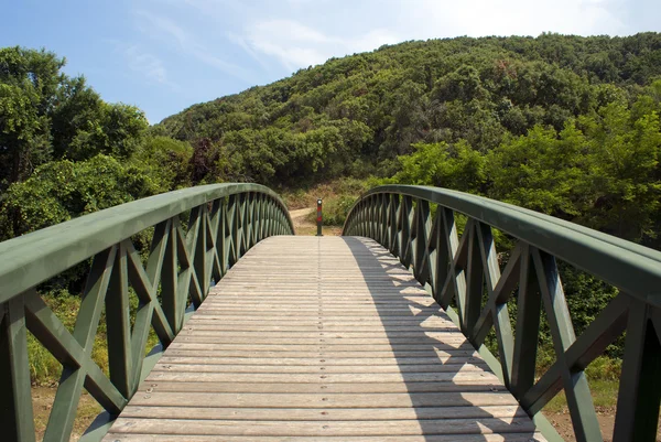 stock image Countryside scenery at mountain Athos in Greece