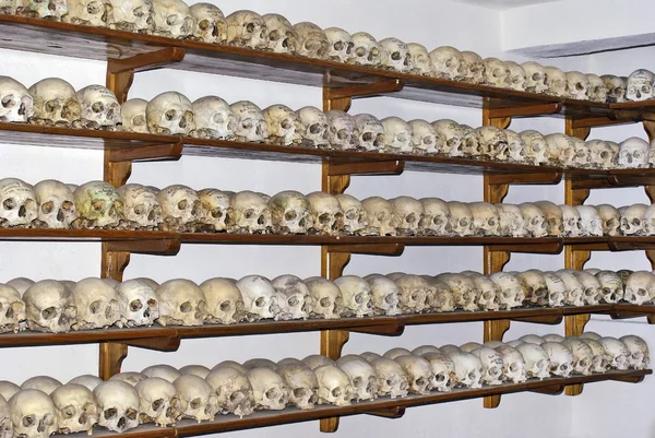 Cráneos en la construcción de mantenimiento de huesos —  Fotos de Stock