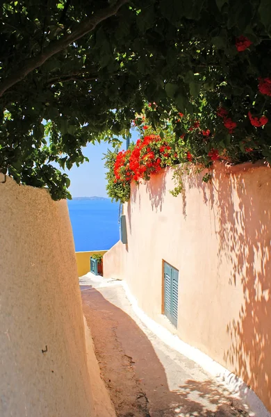 Традиционная аллея на острове Санторини в Греции — стоковое фото
