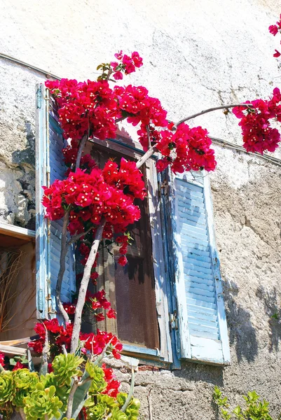Janela tradicional de Thira na ilha de Santorini na Grécia — Fotografia de Stock
