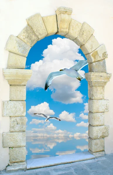 Seagull flying on blue sky through an old Venetian window — Stock Photo, Image
