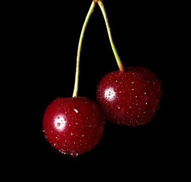 Cherries with water drops isolated on black. clipping path included clipart