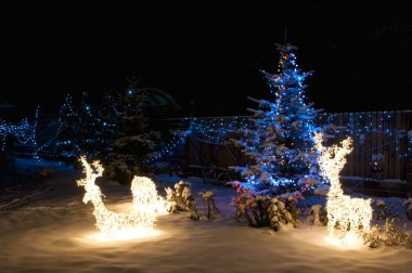Işıklı Noel ağacı ile boşluk
