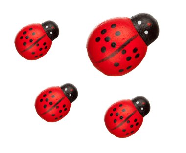 ladybugs izole, aile kavramı