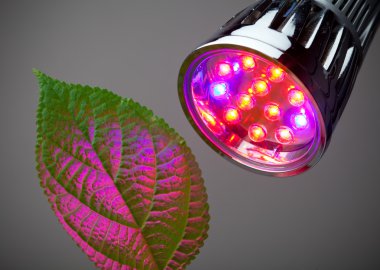 LED grow light clipart