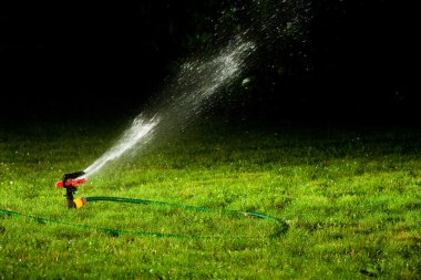 Geceleri yeşil çimenlerin su püskürtme çim yağmurlama