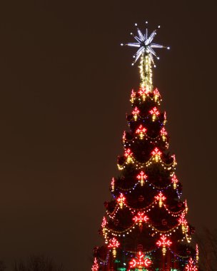 Geceleyin açık havada Noel ağacı