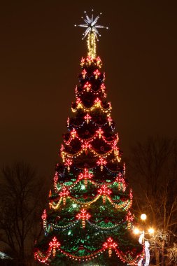 Geceleyin açık havada Noel ağacı