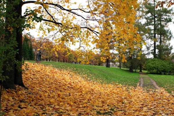 Herbstthema — Stockfoto