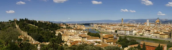 Panorama of Florence cross processed — Stock Photo, Image