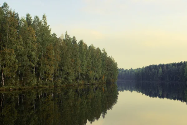 호수와 숲 — 스톡 사진