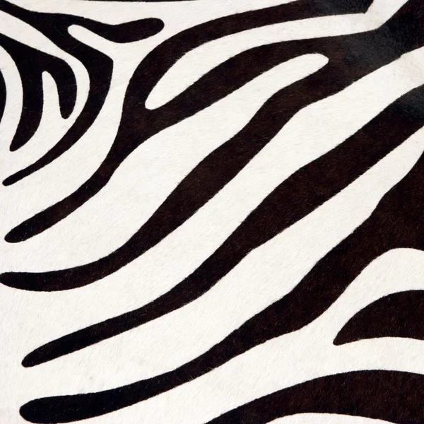 stock image Zebra texture