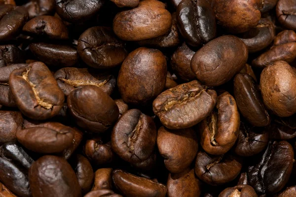 Sült kávébab háttér — Stock Fotó