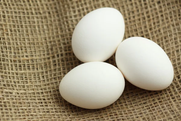Three eggs on brown fabric texture — Stock Photo, Image