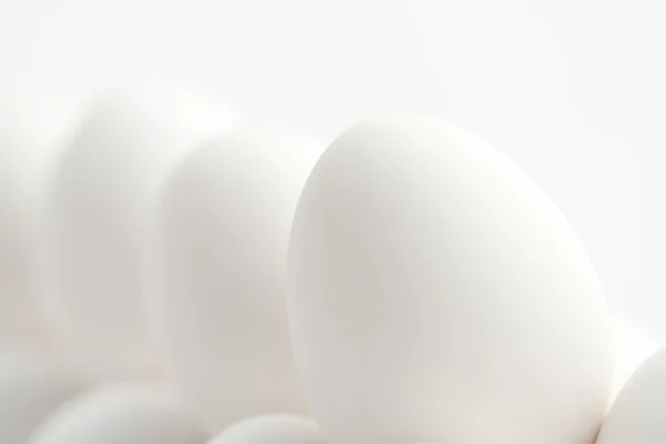 Grupp av ägg — Stockfoto
