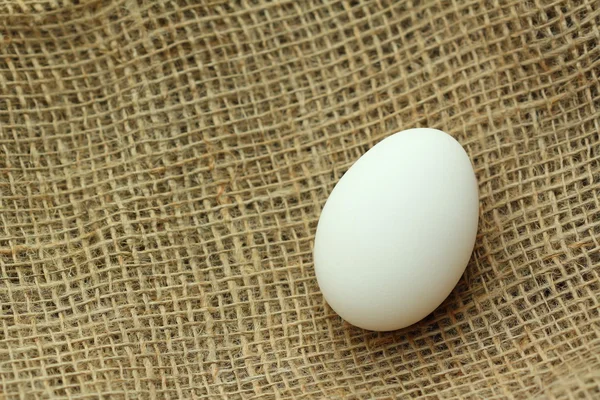 Egg on brown fabric texture — Stock Photo, Image