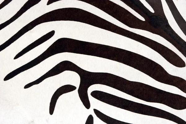 stock image Zebra texture