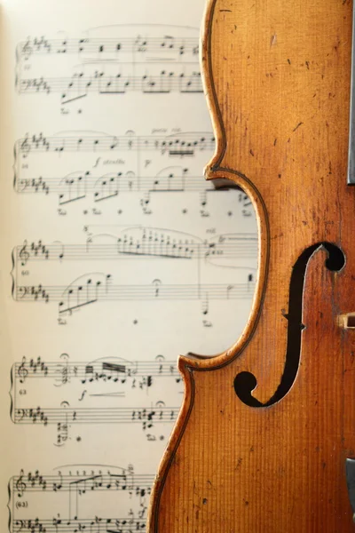 Parte de un violín antiguo — Foto de Stock