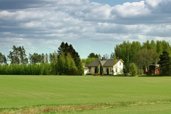 stock image Village house on the meadow