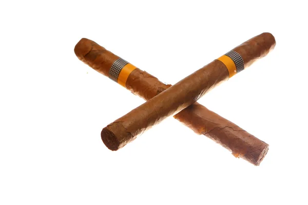 Havana сигары изолированы на белом — стоковое фото