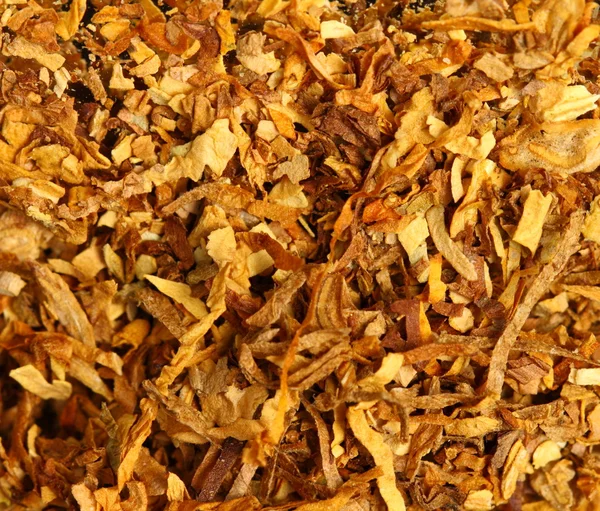 Textura do tabaco — Fotografia de Stock