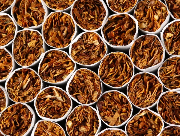 Fondo de cigarrillos —  Fotos de Stock