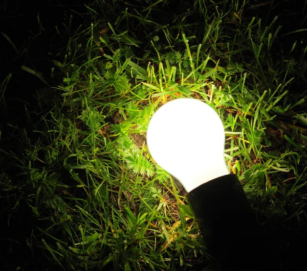 Žárovka lampa zářící v trávě — Stock fotografie