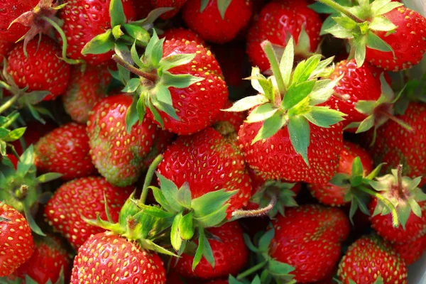 Strawberries background — Stock Photo, Image