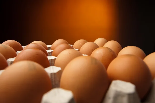 Uova di pollo nel contenitore — Foto Stock