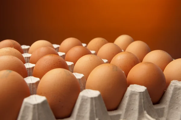 Huevos de pollo en el recipiente — Foto de Stock