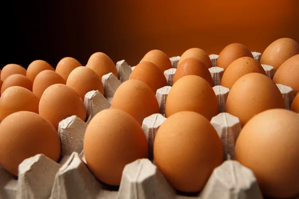 Huevos de pollo en el recipiente — Foto de Stock