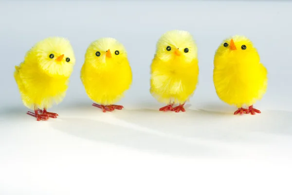 Skupina kuřat — Stock fotografie