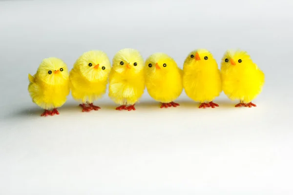 Grupo de galinhas — Fotografia de Stock